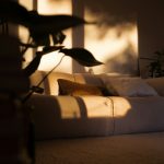 7 Ways Kratom Is Being Used in Modern Wellness Routines