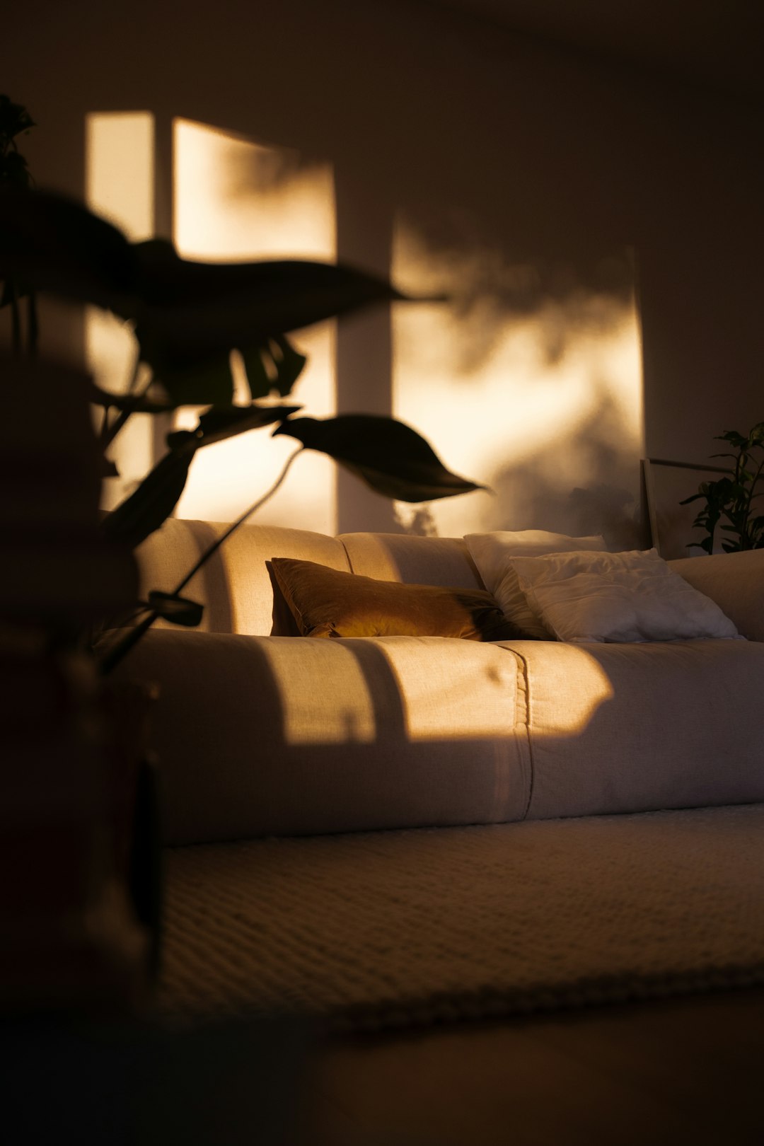 7 Ways Kratom Is Being Used in Modern Wellness Routines
