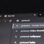 What to Look for in a WordPress Management Service