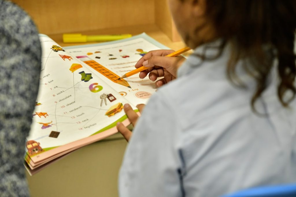 6 VetPrep Alternatives for Veterinary Exam Preparation