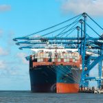 DolphinRadar: DolphinRadar vs MarineTraffic and Other Maritime Tracking Platforms